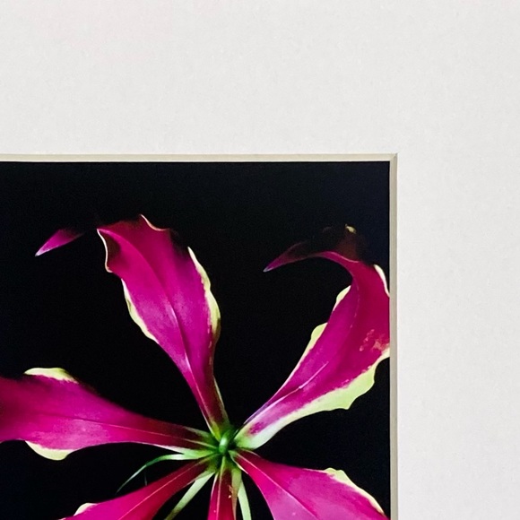 “YOU SPIN ME ROUND” ~ ORIGINAL ART by ~ @lisamichellebeckerphotography - Picture 4 of 13